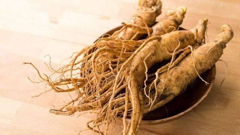 Người huyết áp cao có uống được sâm không?