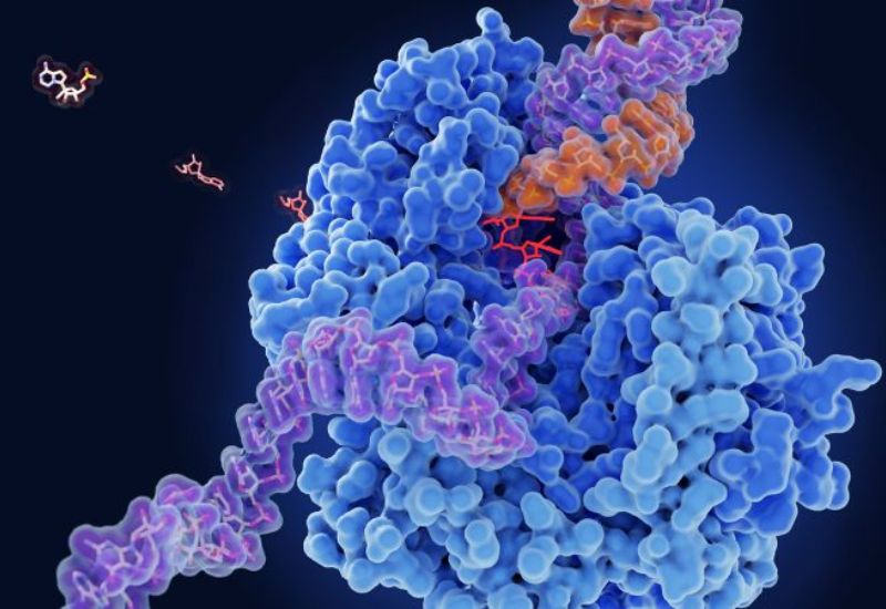 suy giảm chức năng tuyến tụy ngoại tiết